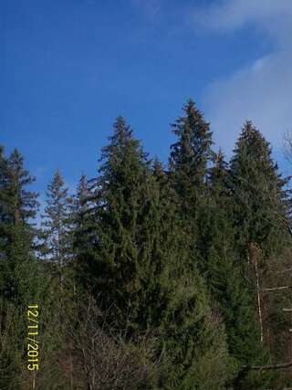 Дома для отпуска Holiday Home Melodiya Karpat Яремче Дом для отпуска-36